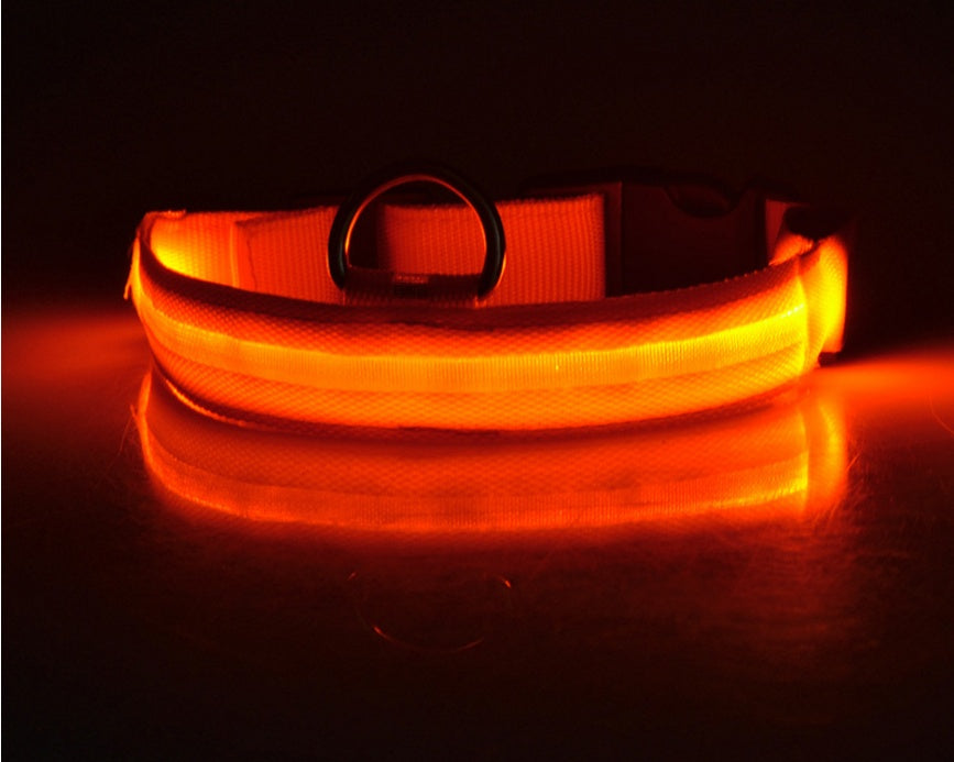 LED Hundehalsband – Nylon, leuchtend, verstellbar