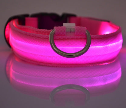 LED Hundehalsband – Nylon, leuchtend, verstellbar