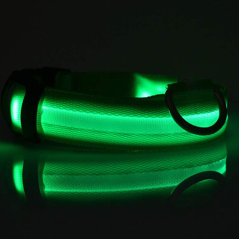LED Hundehalsband – Nylon, leuchtend, verstellbar