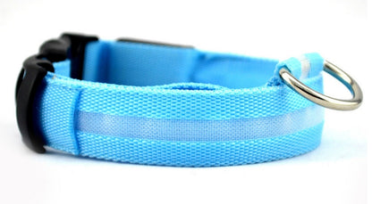 LED Hundehalsband – Nylon, leuchtend, verstellbar