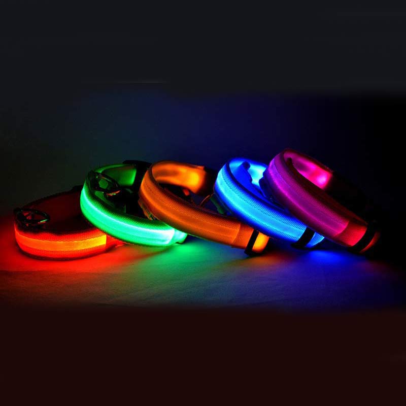 LED Hundehalsband – Nylon, leuchtend, verstellbar