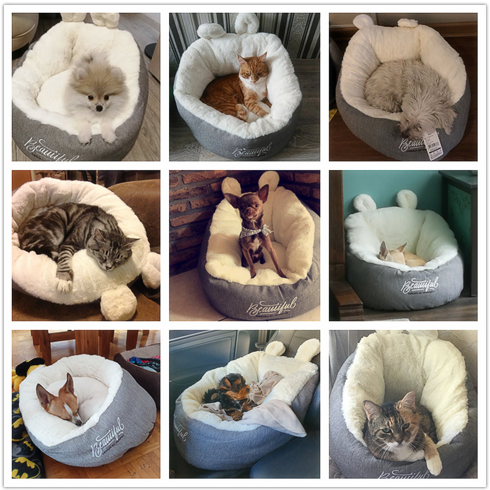 Royal Paws Gemütliches Hundebett/ Katzenbett