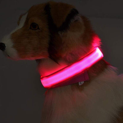 LED Hundehalsband – Nylon, leuchtend, verstellbar