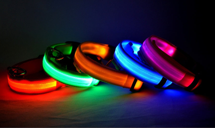 LED Hundehalsband – Nylon, leuchtend, verstellbar