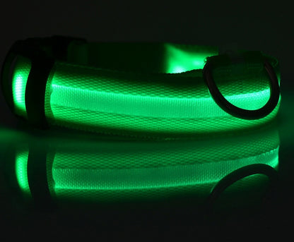LED Hundehalsband – Nylon, leuchtend, verstellbar
