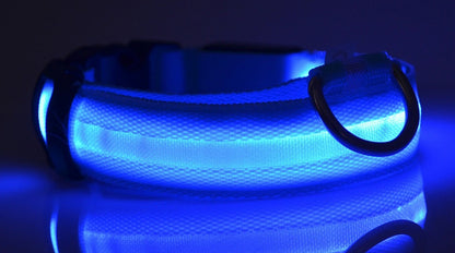 LED Hundehalsband – Nylon, leuchtend, verstellbar
