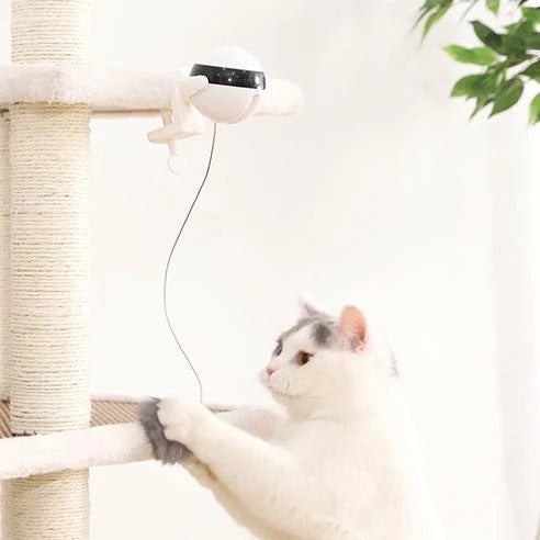 Elektronisches Katzenspielzeug